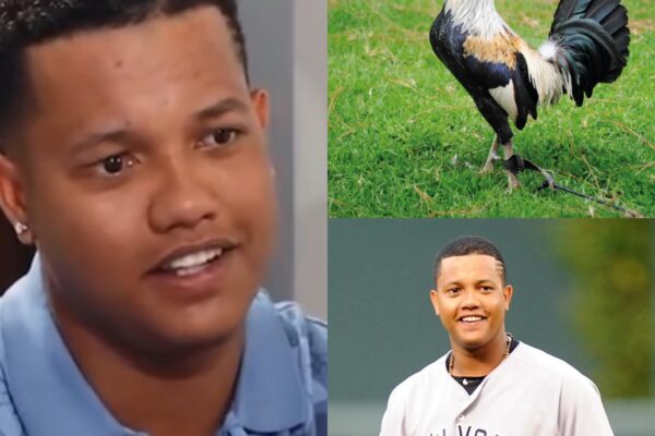 Starlin Castro revela su pasión por los gallos y la millonada que ha llegado a pagar por uno